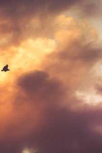 [翻译]Azure 网关迁移至 .NET Core 3.1 性能提升一倍