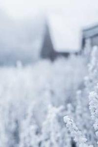 如何写更好的代码