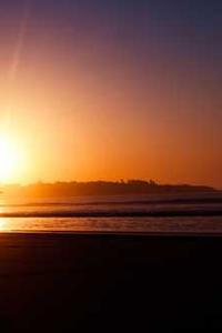 零基础学 .NET/C# 全栈编程