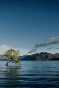 为什么要使用TypeScript